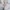 Sommer-Sleepoverall Musselin 0.5 TOG