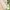 Kindersitzgarnitur Outdoor+, natur  Outdoor+