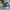 42236 Ford Mustang GT Auto aus der Tuning-Werkstatt