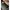 Pullover mit Tasche