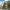 Citybike Sydney 20 Zoll / 24 Zoll