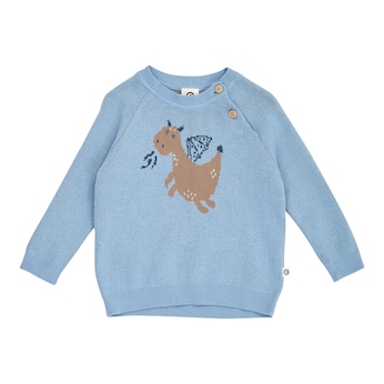 Pullover Drache