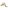 5er-Set musikalische Baby Rasseln aus Holz FSC®