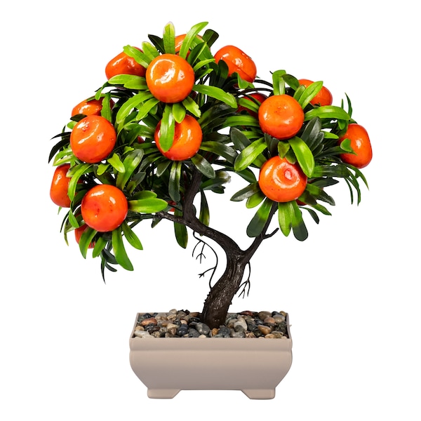 Produktvorschaubild 1