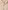 Baby-Set: Strick-Overall und Musselin-Bandana