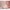 Bundle Sleepi inkl. Matratze und Spannbetttuch