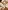 Baby Activity-Decke aus Musselin mit Leo-Print / Gold-Tupfen
