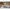Scooter Timmy