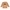 Sweatshirt Rind