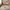 Kinder Teppich Softstar Kids Safari Animal Friends