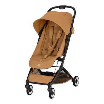 Buggy ORFEO