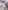 3er-Pack Baby Strampler mit Reißverschluss BASICS