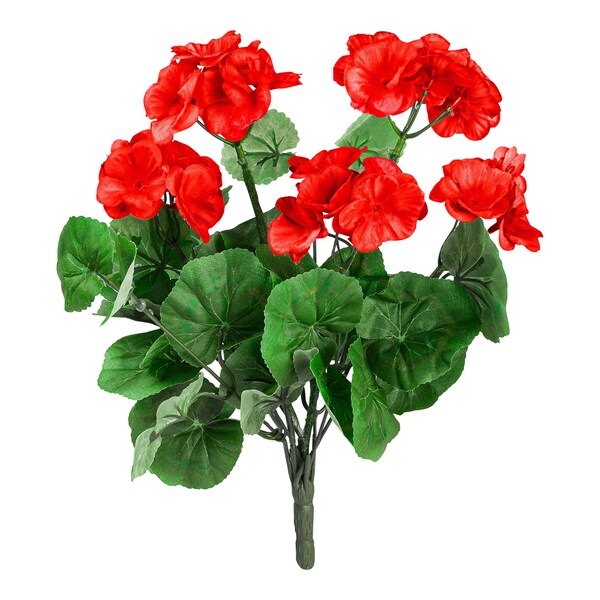 rot