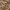 Greifling Rassel Holz Natur und Baumwolle Reh - ab Geburt