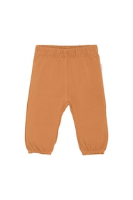 Hose Tenino
