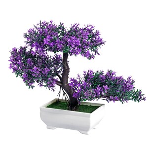 Blühender Bonsai