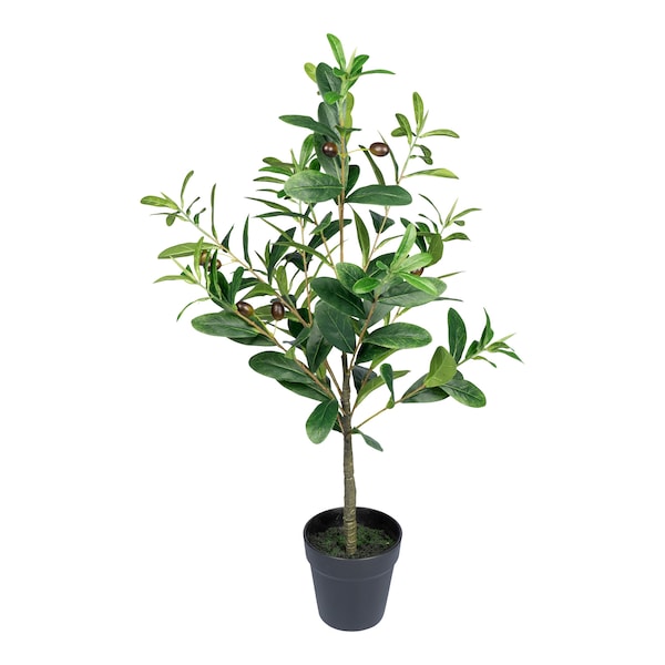 Produktvorschaubild 1