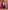 Baby-Set: Hemd, Weste und Fliege, festlich