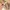 8er-Pack Magnetschloss