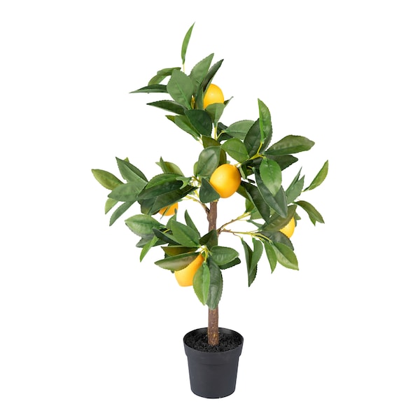 Produktvorschaubild 1