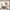 Spielbogen mit Krabbeldecke TEDDY