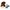 Kuscheltier Haustier Set Hund