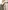 Parka mit Kapuze 3-in-1 Baby, mit abnehmbarer Steppjacke