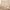 Spielmatte 78 x 100 cm Greyish gesteppt