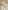 5er-Set Kinderzimmer Deko-Blumen aus Rattan BOHO