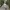 Sonnenbrille 9-24 Monate