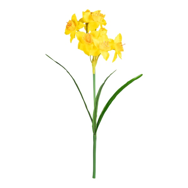 Produktvorschaubild 1