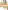 Kinder Spieltisch REGENBOGEN, Holz FSC®