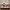 Beistellbett Thomi Plus 5in1