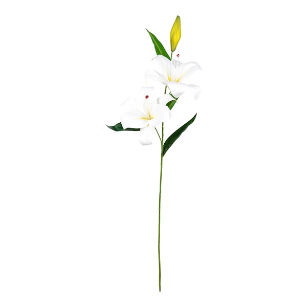 Produktvorschaubild 1