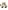 Baby Activity-Zug TANSANIA aus Holz FSC®
