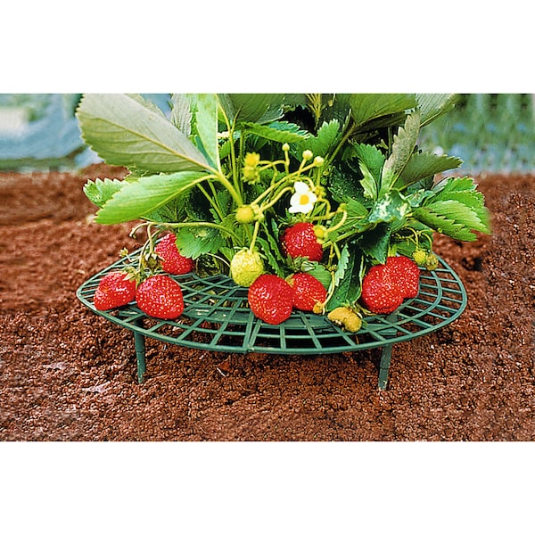 Produktvorschaubild 2