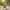 Kinderfahrrad Petitage 16 Zoll