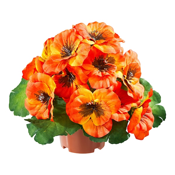 Produktvorschaubild 1
