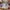 10788 Gabbys Puppenhaus 