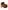 Soft-Tragetasche Baby mit Webpelz