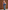 Jungen Windjacke, Wattierung Recycling-Polyester, Übergangsjacke