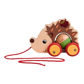 Nachziehtier Igel
