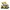 11505 Waldpilze