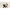 Babyschale Doona i