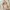 Kapuzenbadetuch 80x80 cm 