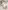 5er-Pack Baby Schlupfbodys mit Dinosauriermotiven