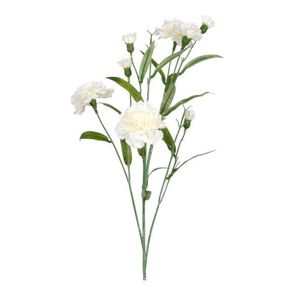 weiß