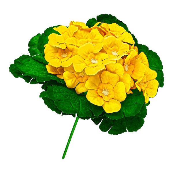 Produktvorschaubild 1