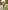 Warme Jungen Winterjacke mit Handschuhen und Recycling-Wattierung