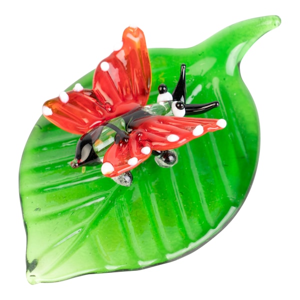 Schmetterling